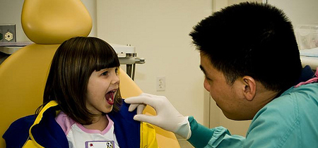 Dental Schools